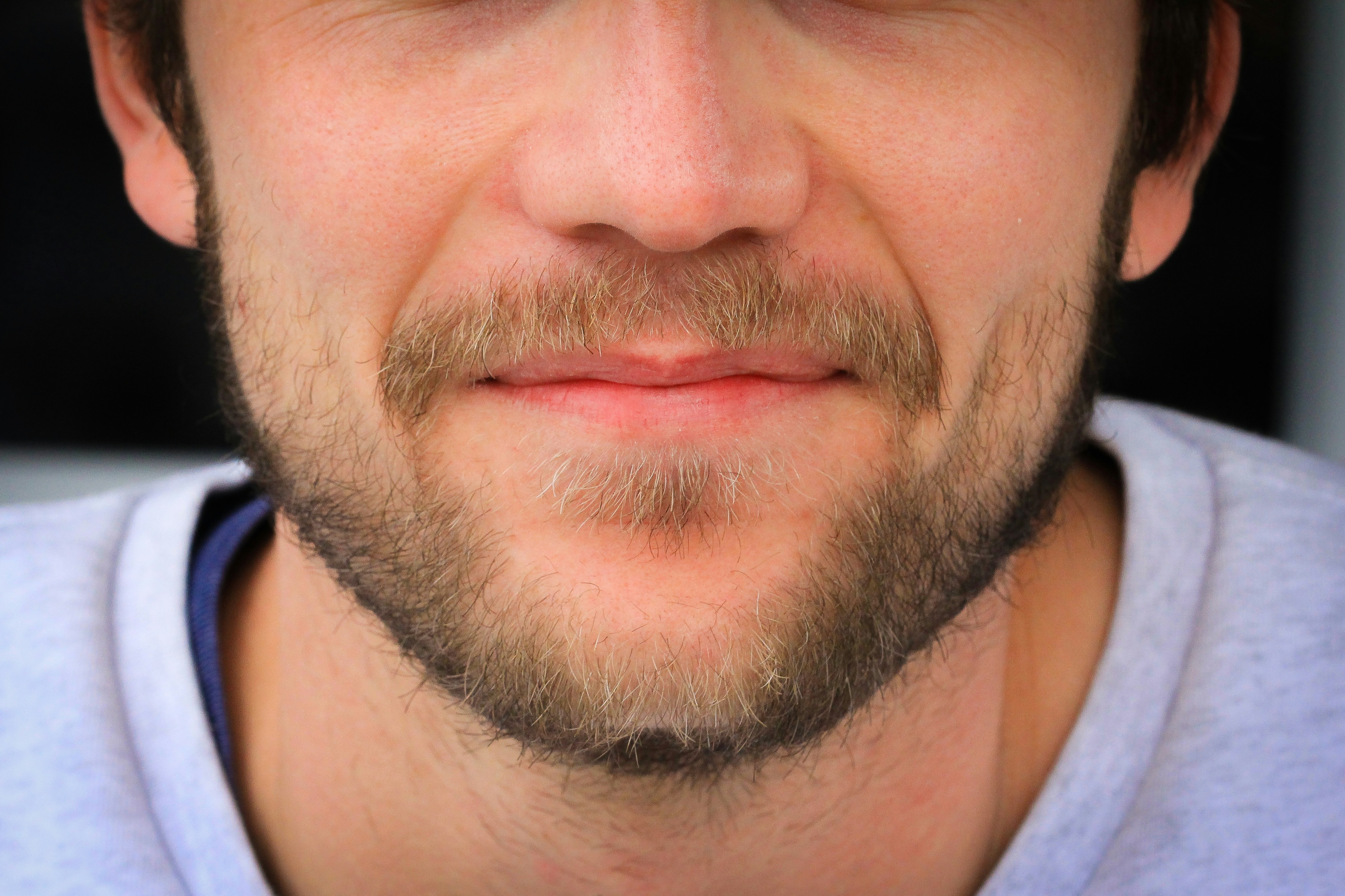 Picture of Face, Head, Person, Beard, Adult, Male, Man