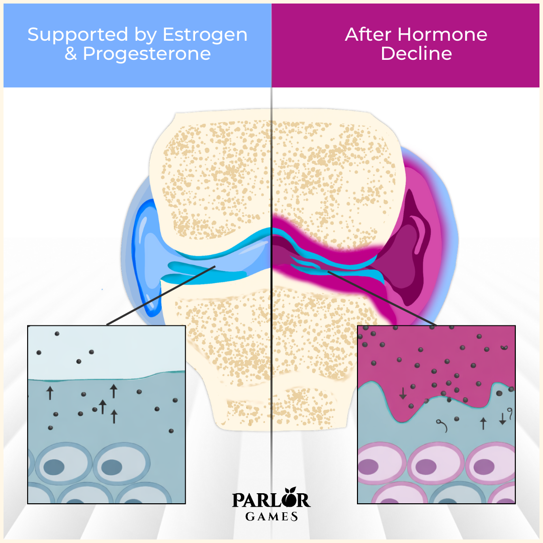 After Hormone Supported by Estrogen & Progesterone Decline PARL&Ouml;R GAMES After Hormone Supported by E...