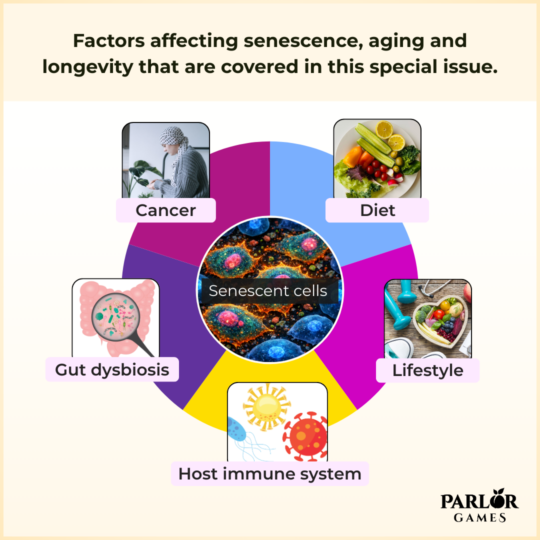 Picture of Adult, Female, Person, Woman, Advertisement, Poster with text Factors affecting senescenc...