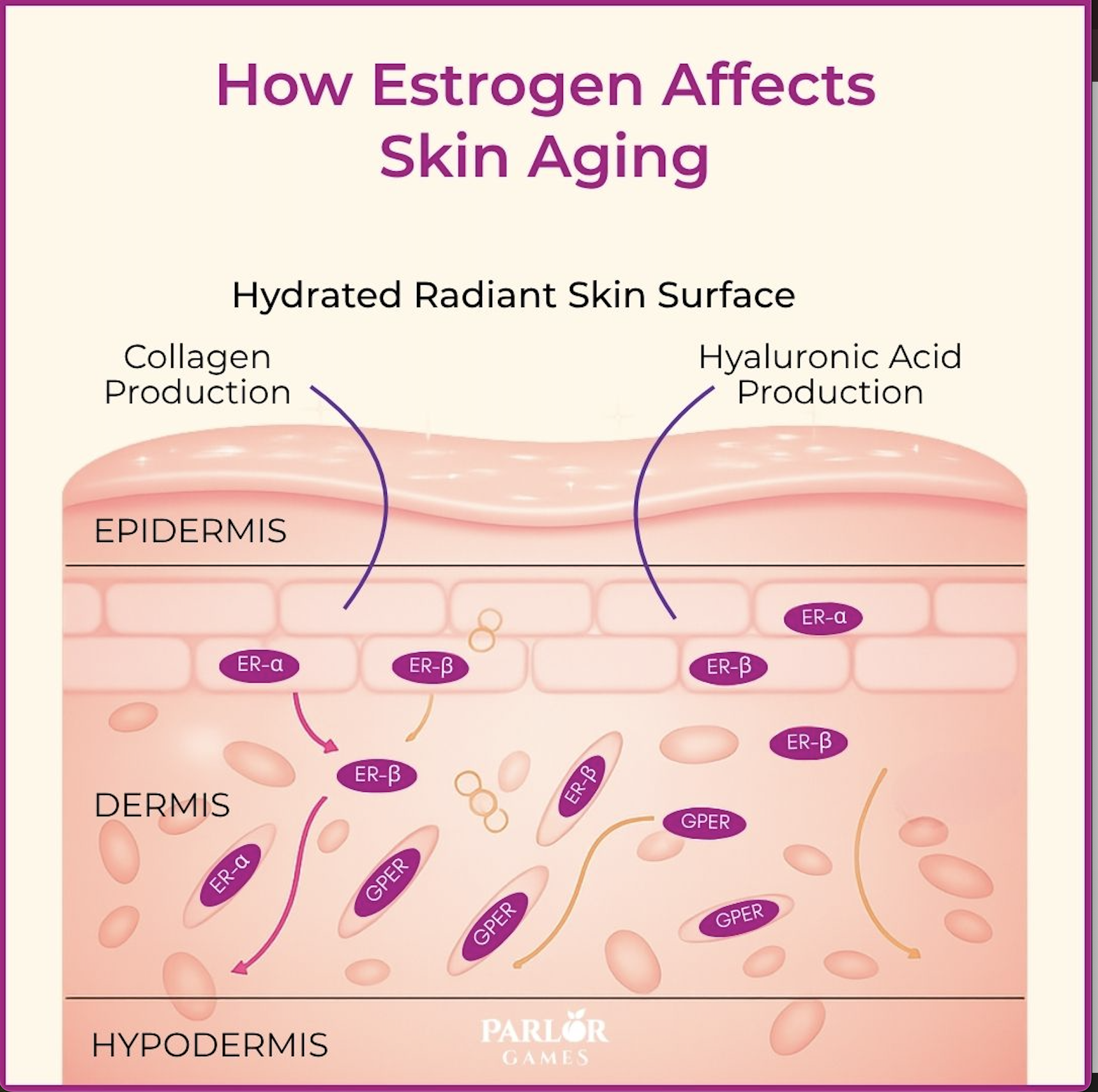 Picture of Paper with text How Estrogen Affects Skin Aging Hydrated Radiant Skin Surface Collagen Hy...