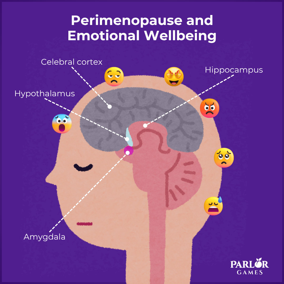 Picture of Person with text Perimenopause and Emotional Wellbeing Celebral cortex Hippocampus Hypoth...