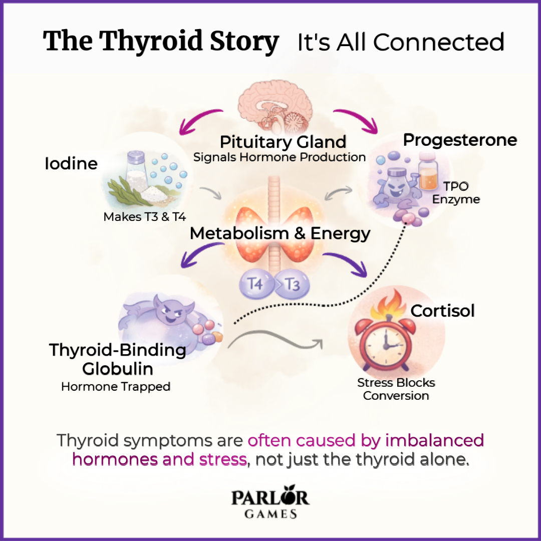 Picture of Accessories, Text with text The Thyroid Story It's All Connected Progesterone Pituitary G...