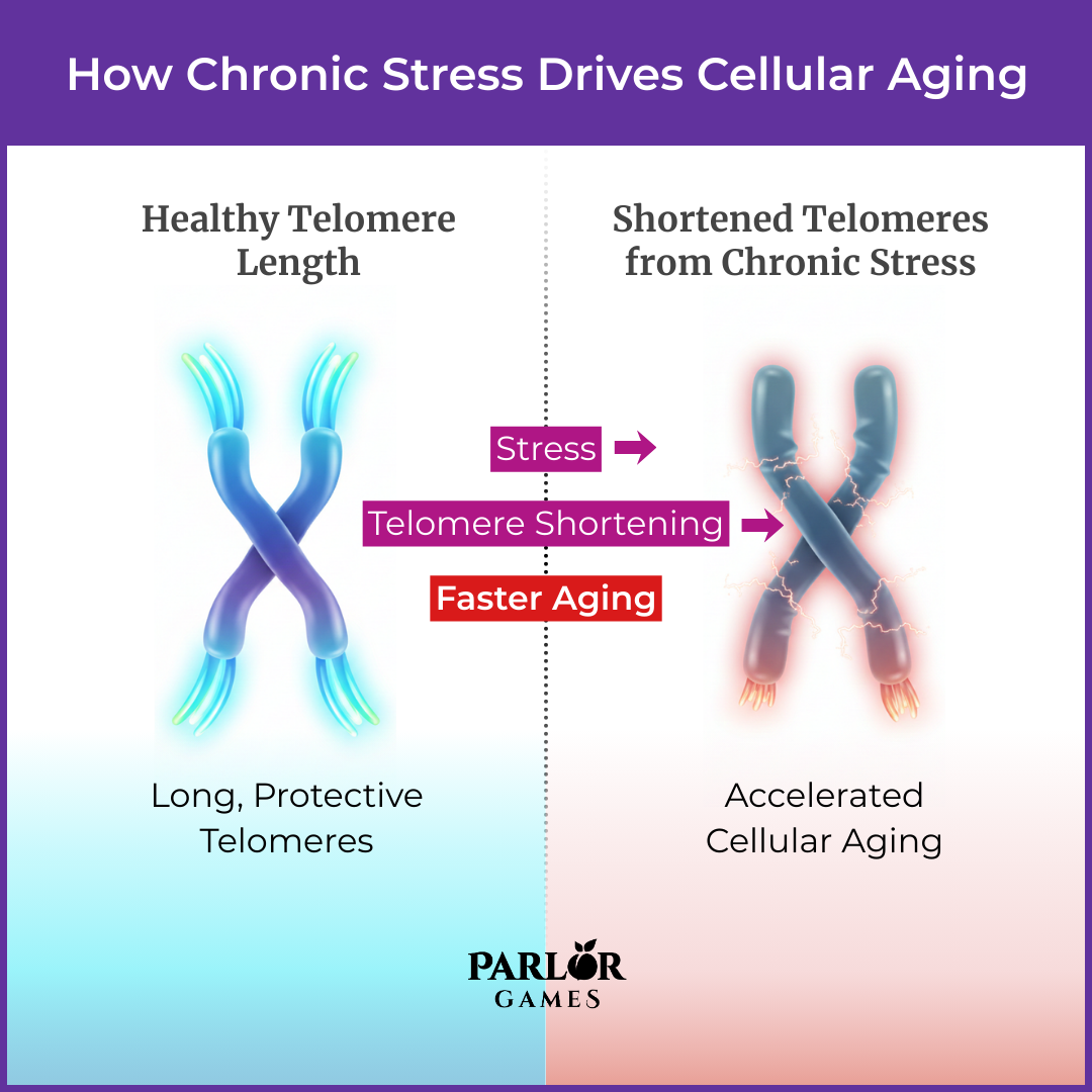 Picture of Advertisement, Poster with text How Chronic Stress Drives Cellular Aging Shortened Telome...