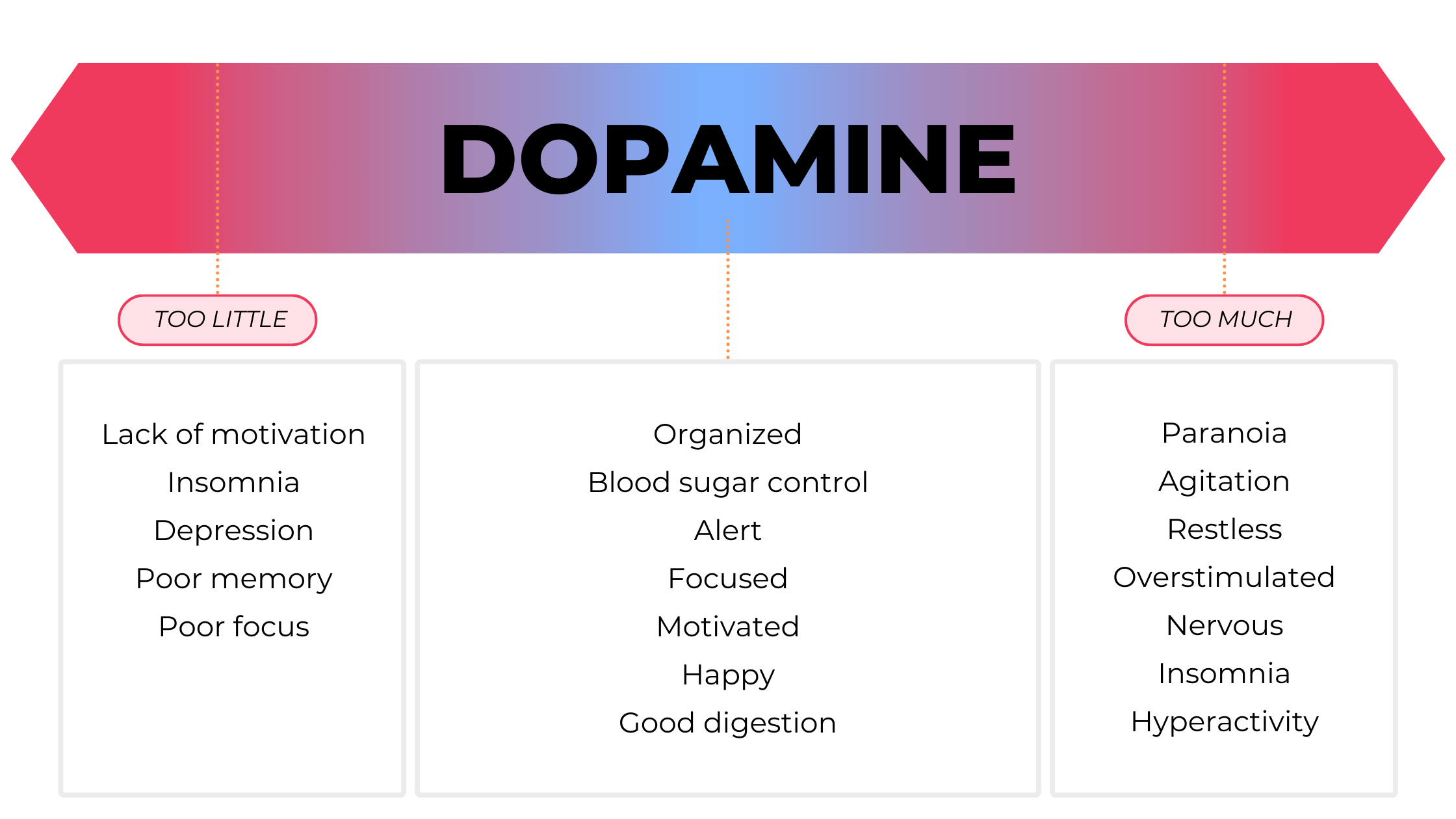 Understanding the chemicals and neurotransmitters of the brain